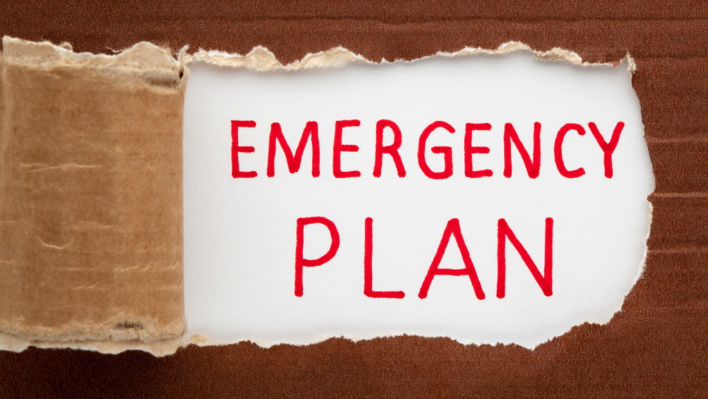 Efficient Emergency Preparedness and Response